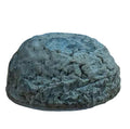 Blaus Hirni