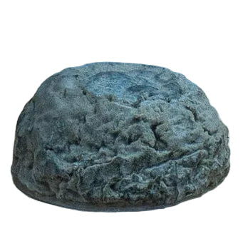 Blaus Hirni